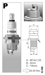 Svíčka zapalovací PR15YC Brisk-Garden-R